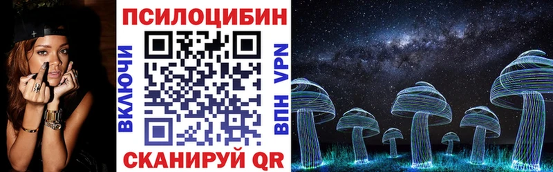закладки  Нестеровская  Галлюциногенные грибы прущие грибы 
